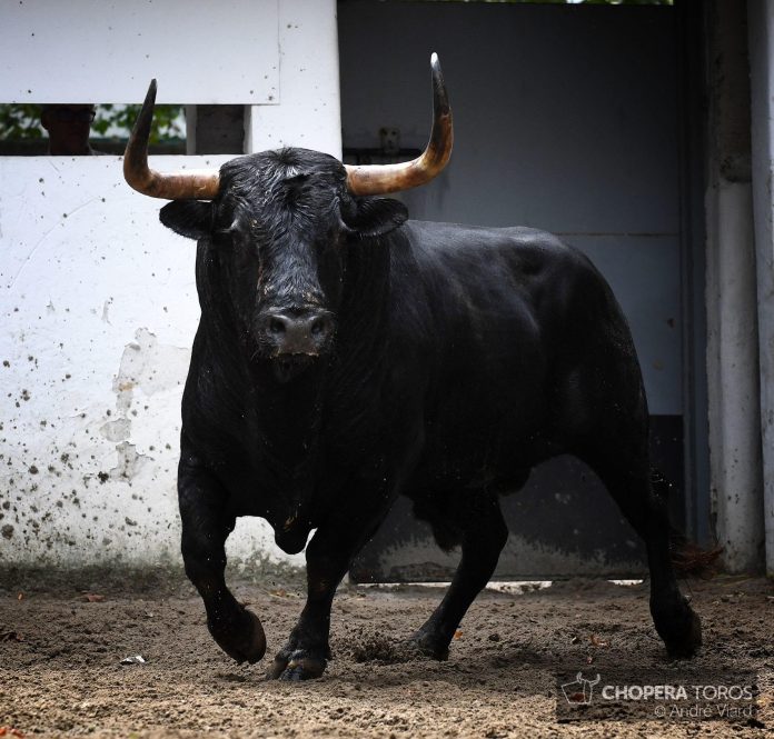 Dependiente abre la tarde de hoy en Bilbao