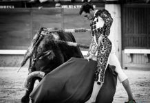 Destaca Juan Ortega en el día de la Paloma