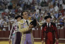 El Cid da una vuelta al ruedo en su despedida de Málaga, vídeo