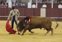 David de Miranda sustituye a Pablo Aguado en la corrida de mañana en Málaga