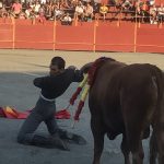 IMG_4399