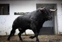 Boticario abre la primera de abono en Bilbao