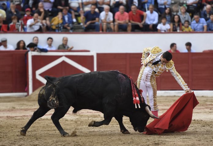 Ureña pasea el único trofeo en Colmenar