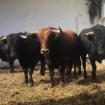 zacarias corrales 1