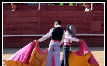 Exhibición Escuela de Tauromaquia de Navas del Rey