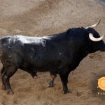 Niñero cierra la feria de San Miguel en La Maestranza, vídeo