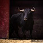 Operario cierra la feria de San Mateo de Logroño