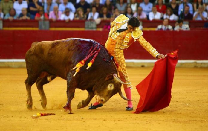Perera y de La Viña, heridos en Zaragoza