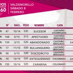 ORDEN DE LIDIA ALCURRUCEN