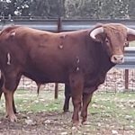 3 HERMANOS SÁNCHEZ HERRERO