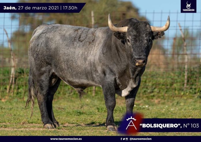 FB_IMG_1616414614074