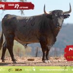 Las taquillas de la plaza de toros de Castellón abren para la venta de entradas del concurso de recortadores con Victorinos