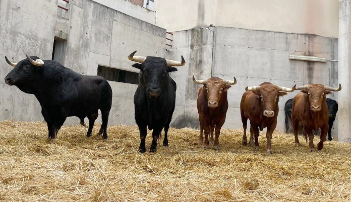 118eb994-7043-4cbd-a0fe-4091f6798750