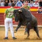 RECORTADORES foto leganes