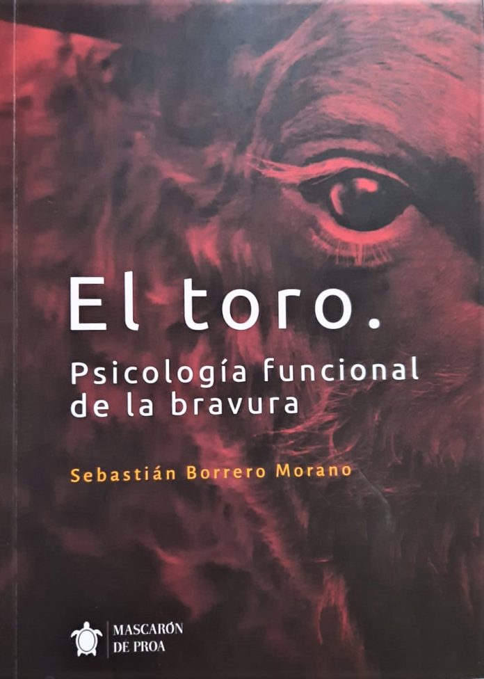 libro de sebastian Borrero Chamaco