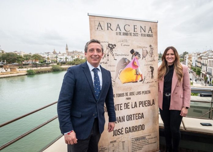 PRESENTACION ARACENA