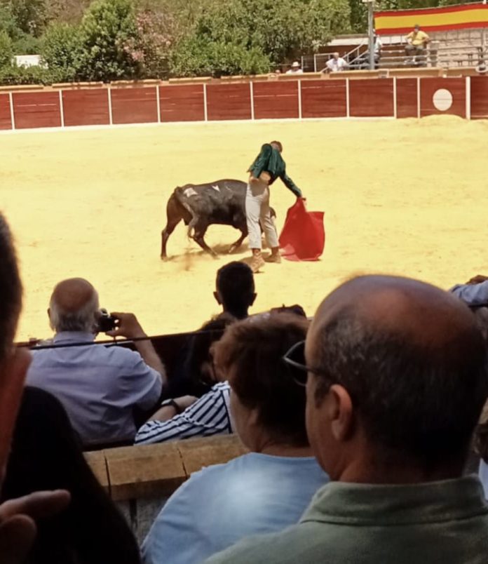 Entretenida novillada matinal en Camas