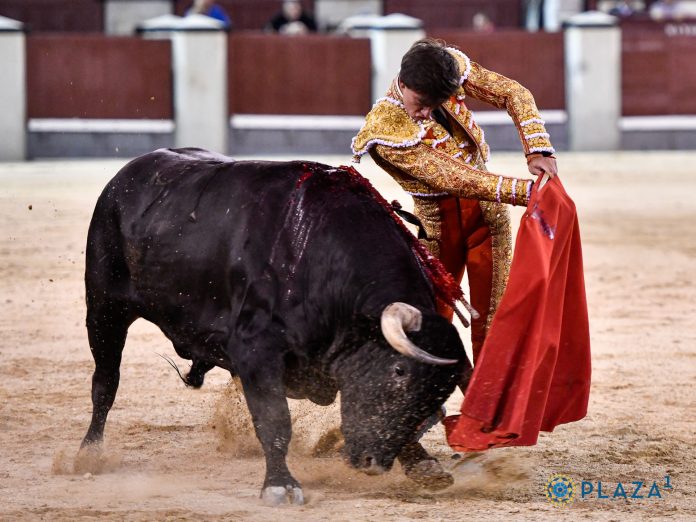 Alejandro Peñaranda, triunfador del Certamen de nocturnas