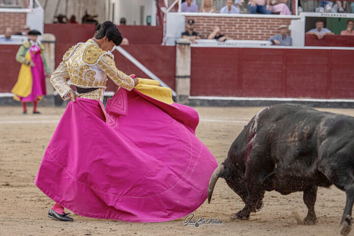 2 Diego García, premiado por la Asociación Cultural Peña Taurina de Alcobendas