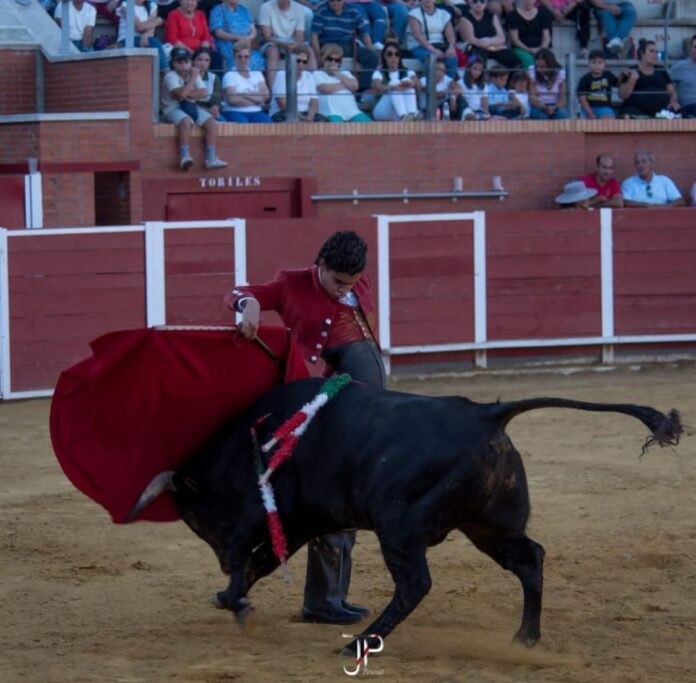 Tres orejas para Rafael de La Cueva en Nava del Rey
