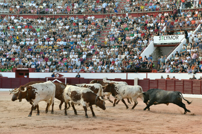 Gran entrada y excelente ambiente en la desencajonada de Colmenar