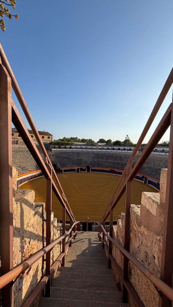 La plaza de toros de Muro recupera su esplendor con un ambicioso plan de mejoras