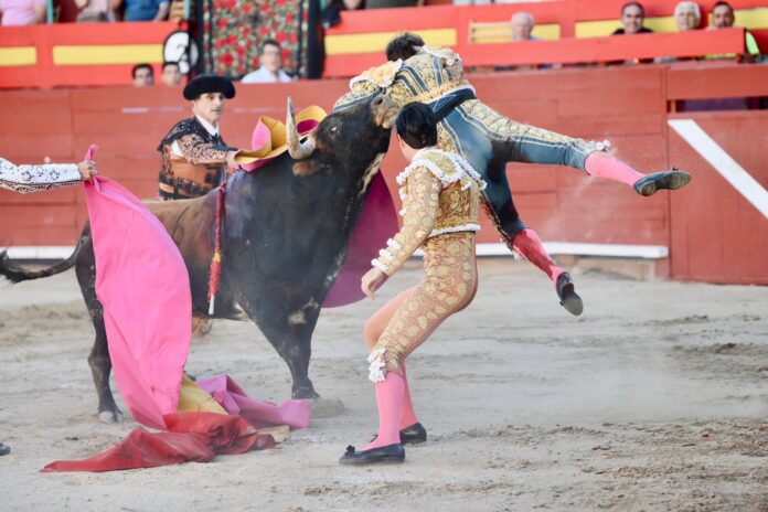 ROMAN COGIDA REQUENA 0