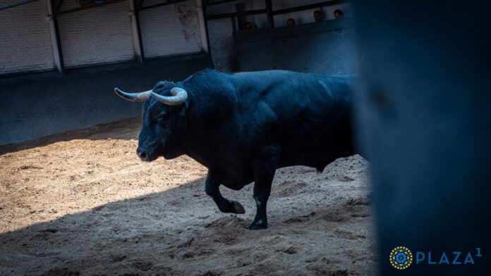 cabecera rejones 21 agosto