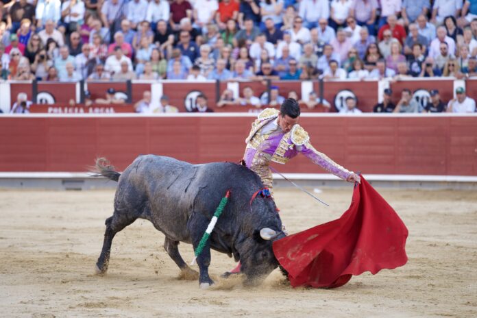 2775bb1b-6198-a7ec-e182-9128e44602e7