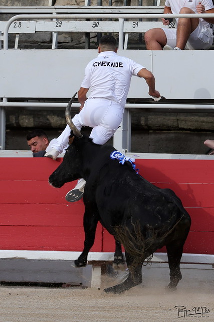 54782847966_b4fc131960_z