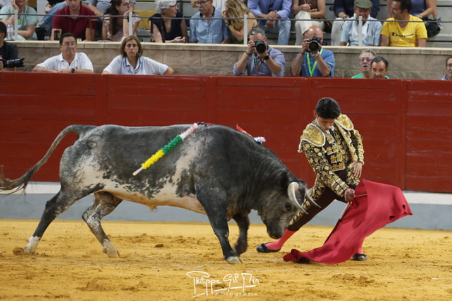 Infumable novillada de Saltillo en Villaseca de la Sagra