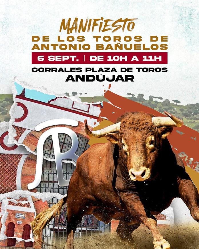 Los toros de Antonio Bañuelos, abiertos al público en Andújar