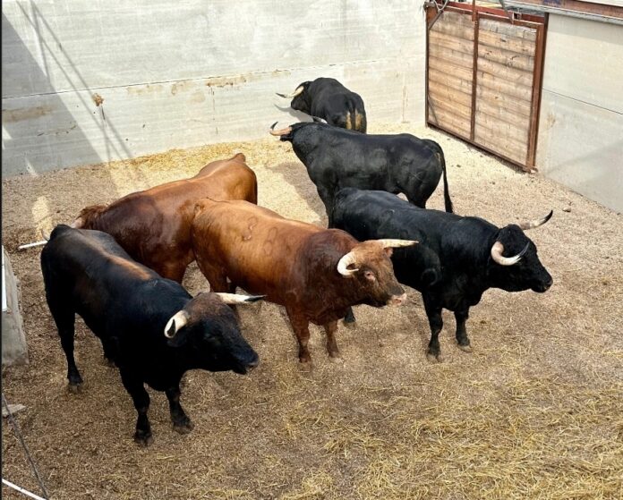 Screenshot_20250906_135044_Gmail