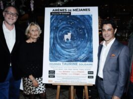 El Festival Taurino de Mejanes con fecha