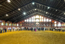 “Cumbre” de Paco Ojeda en la exitosa clausura de la VI  Bienal Internacional de Tauromaquia