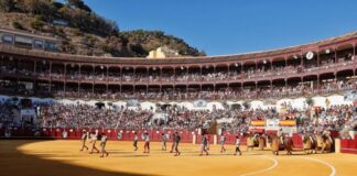 Definidos los premios de la Gala de la Tauromaquia de Málaga