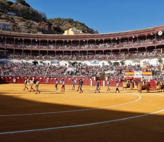 Definidos los premios de la Gala de la Tauromaquia de Málaga