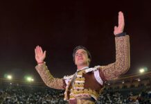 Jesús Enrique Colombo cierra la Feria de Cali con toros de Salento