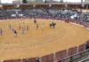 Manolo Martínez y Blas Márquez destacan en Baeza