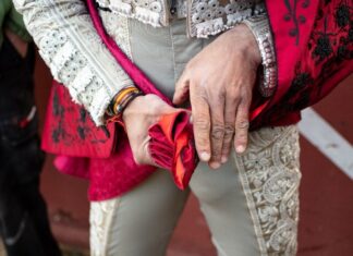 Definidos los candidatos a los premios de la Excelencia de las Cuadrillas de la Liga Nacional de Novilladas 2025