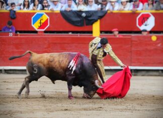 Jesús Enrique Colombo recibe el Trofeo “Pepe Bienvenida” en San Isidro