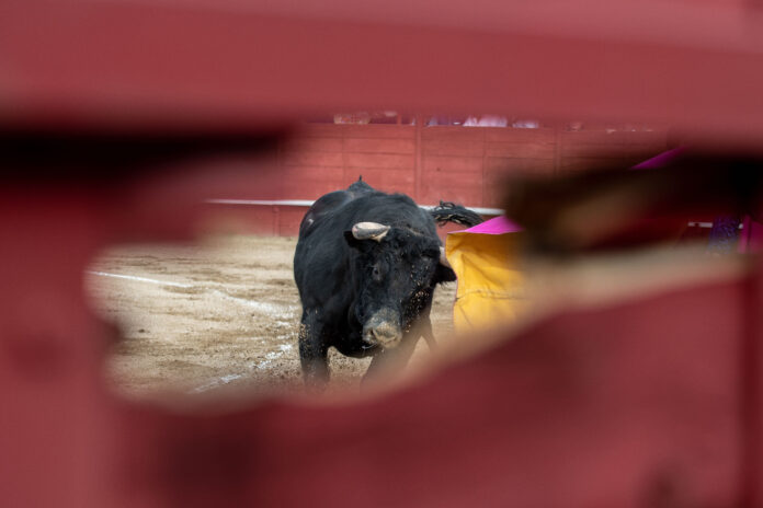 Abierto el plazo de inscripción para las ganaderías participantes en el Circuito de Andalucía 2026