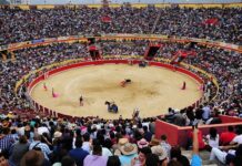 Coremer oficializa la disolución del contrato con Rodríguez Jáuregui y Manfredi López