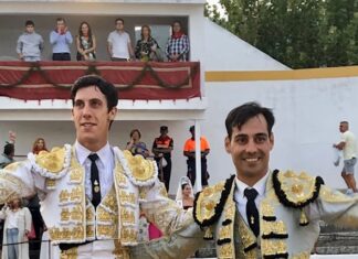 Definidos los premios taurinos de Sotillo de la Adrada