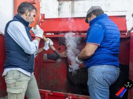 Majá del Lobo: El fuego y la memoria del campo bravo en un nuevo herradero de la ganadería de José Luis Pereda