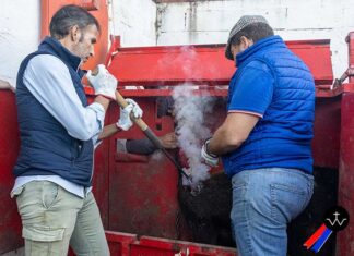 Majá del Lobo: El fuego y la memoria del campo bravo en un nuevo herradero de la ganadería de José Luis Pereda