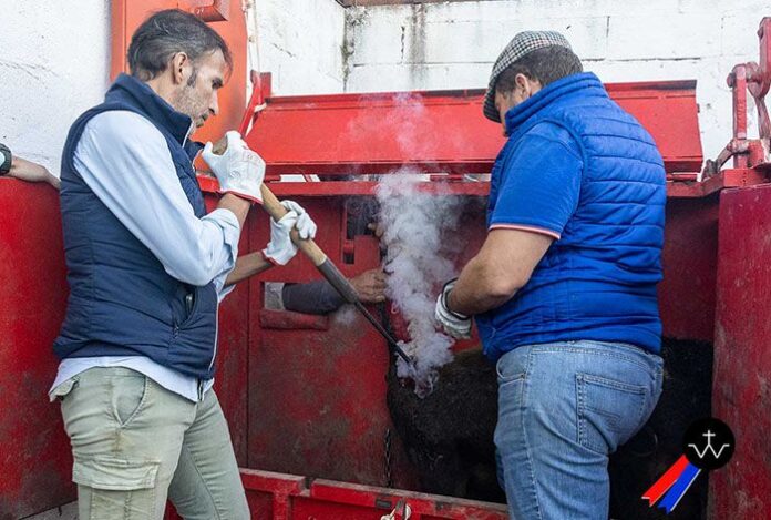 Foto-Portada-Herradero