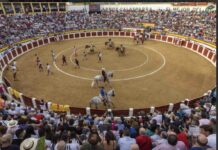 El Ayuntamiento de Calasparra reacondicionara su plaza de toros