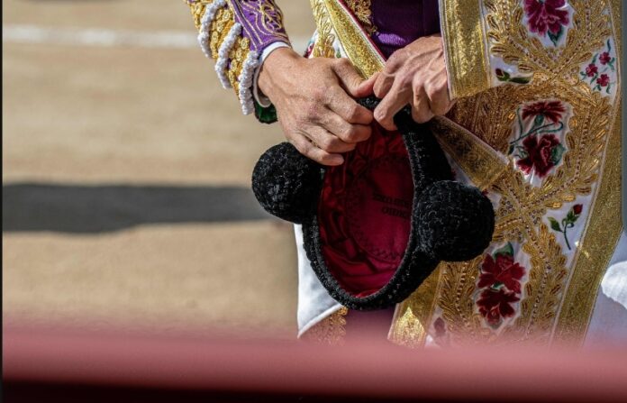 Screenshot_20251119_153758_Gmail