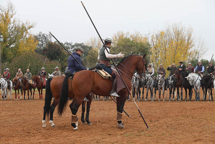Foto-Portada-Acoso-y-Derribo